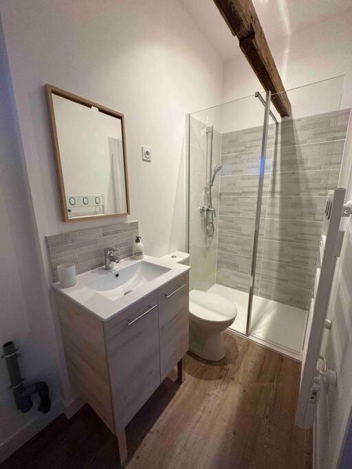 Petite Maison Avec Clim Blois Eksteriør billede