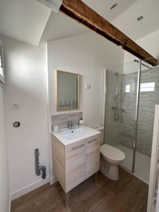 Petite Maison Avec Clim Blois Eksteriør billede