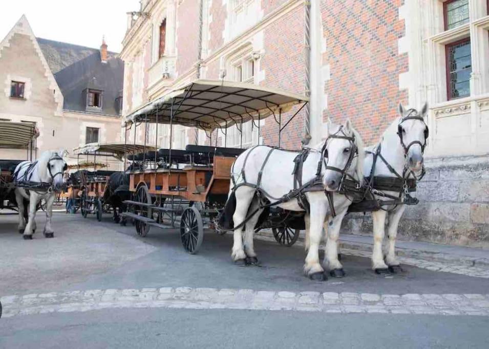 Petite Maison Avec Clim Blois Eksteriør billede