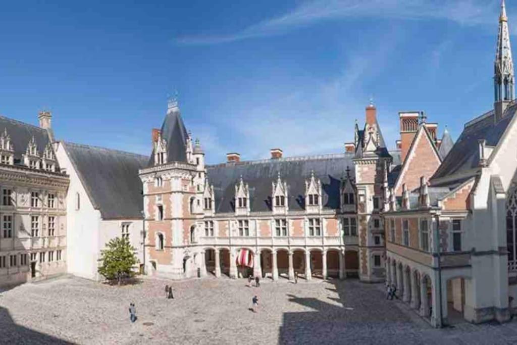Petite Maison Avec Clim Blois Eksteriør billede